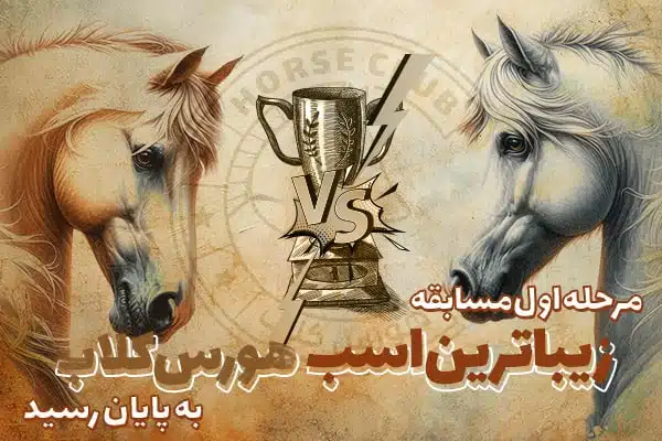 مرحله یک مسابقه زیباترین اسب
