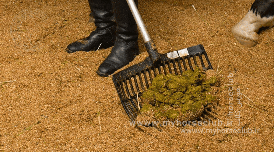 بررسی مدفوع